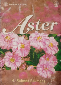 Image of Aster