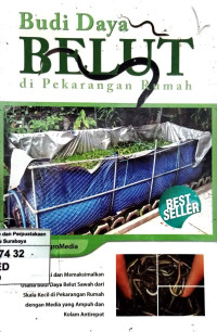 Image of Budi Daya Belut di Pekarangan Rumah